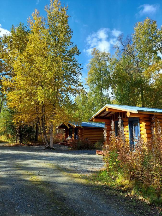 Hatcher Pass Cabins 팔머 외부 사진