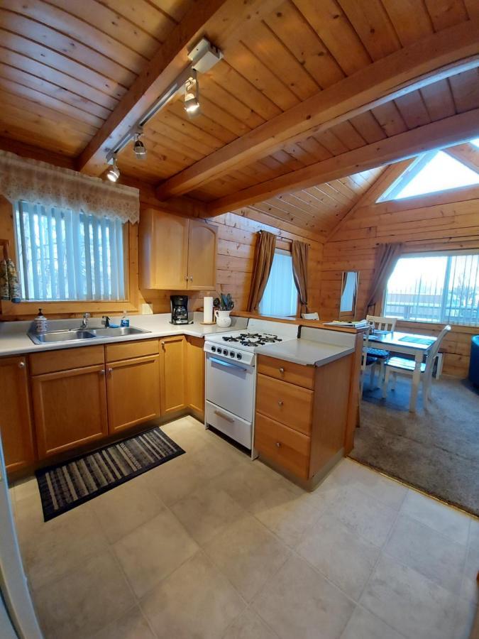 Hatcher Pass Cabins 팔머 외부 사진
