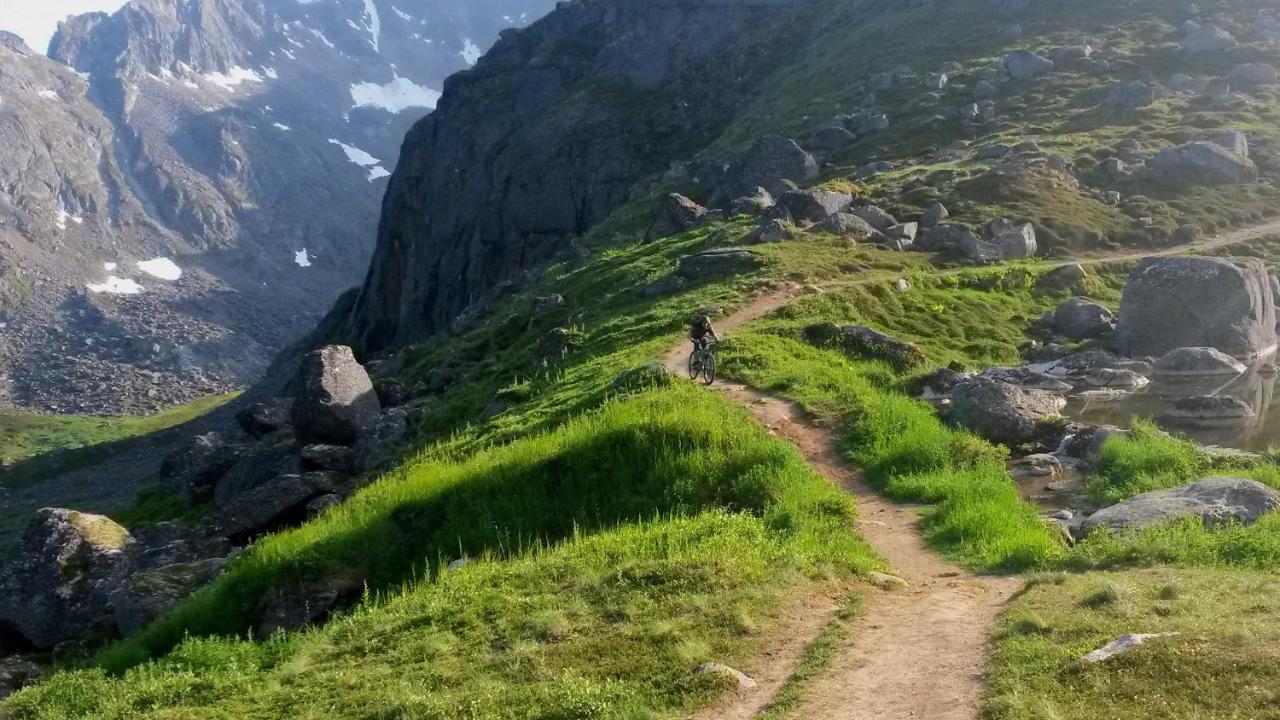 Hatcher Pass Cabins 팔머 외부 사진